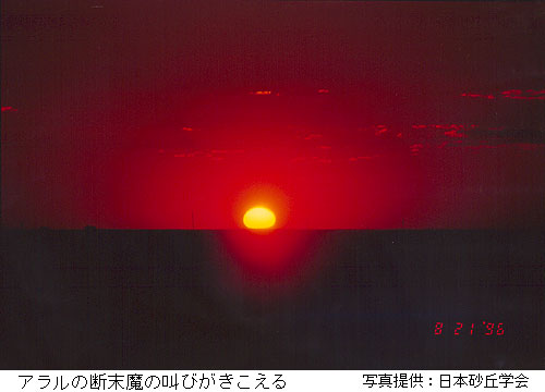 A̒f̋т