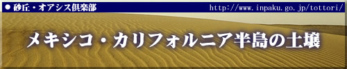 メキシコ・カリフォルニア半島の土壌