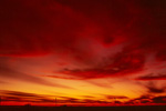 Deep red(紅)
