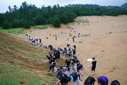 大勢で除草